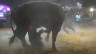 LLEGO LA TRAGEDIA AL JARIPEO  RANCHO LA HERENCIA EN XALPATLAHUAC GUERRERO 2024 [upl. by Hirz]