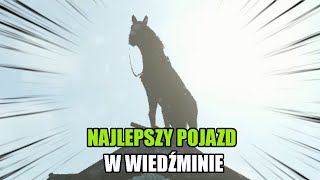 NADZWYCZAJNY KOŃ  Wiedźmin PARODIA [upl. by Earehs]