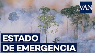 El Amazonas en estado de emergencia por los incendios forestales [upl. by Esilegna]