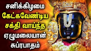 LIVE  🔴  BEST PERUMAL TAMIL DEVOTIONAL SONGS  Sri Venkateswara Suprabhatam  Perumal Padalgal [upl. by Ayyidas]