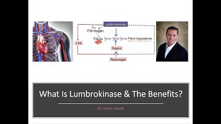 What Is Lumbrokinase and The Benefits [upl. by Nerret612]