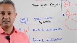 Red Blood Cell Under the Microscope 400X and 1000X  Part 3 RBC Agglutination [upl. by Naxor]