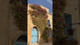 The best Instagram spot in Mdina Malta  The famous street with blue doors and purple flowers [upl. by Ahsena]