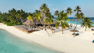 quotMust Experience Adventuresquot on Veligandu Island Maldives [upl. by Akelahs]