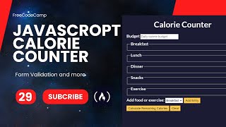 FreeCodeCamp  Javascript  Form Validation by Building a Calorie Counter  Steps  29 [upl. by Malca742]