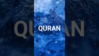 Quran Surah baqrah urdu translate [upl. by Nelak]