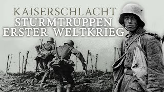 Der ERSTE WELTKRIEG  Die Geschichte der Sturmtruppen [upl. by Leon]