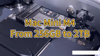 brand new Mac Mini M4 upgrade from 256GB to 2TB Almost failed [upl. by Adnolehs704]