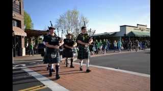 Arroyo Grande California Finnegans Wake Parade 2014 [upl. by Dnaltiak]