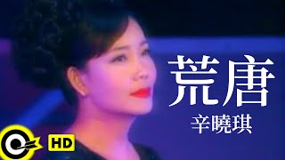 辛曉琪 Winnie Hsin【荒唐 Foolish】Official Music Video LIVE [upl. by Nolahp688]