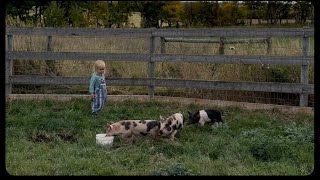 Our First Time Raising Pigs  S1 Ep 27 [upl. by Julianne]