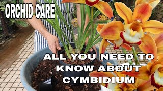 A Comprehensive Cymbidium Culture and Flowering Guide [upl. by Robson]