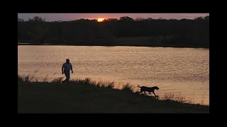 Bill Hillmann Accomplishments AKC Retriever Field Trials [upl. by Jaeger]