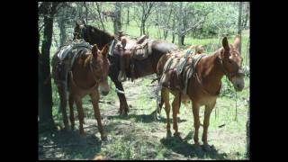 McGarry Ranches Landscape [upl. by Mccarty]