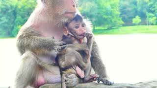 Cute Baby Tia Screaming So Loudly Angry Mommy Beat To Weaning Her Milk [upl. by Jehiah947]