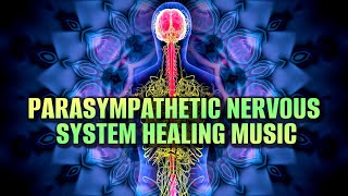 Parasympathetic Nervous System Healing Music  Stimulate The Vagus Nerve Naturally  Binaural Beats [upl. by Toney]