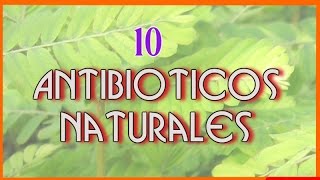 10 Increibles Antibióticos Naturales Que te Ayudaran a Enfrentar a Las Infecciones [upl. by Wileen]