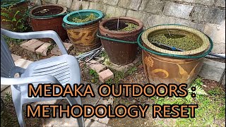 medaka rice fish outdoors  methodology reset [upl. by Eilrahc478]