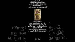 Sundarakanda Valmiki Verses 522930 lyrics amp meaning in English amp 7 Indian languages [upl. by Rodl]