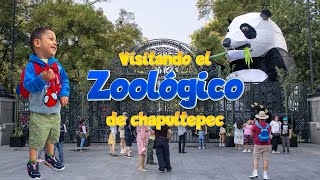 De paseo por el Zoológico de Chapultepec [upl. by Unders]