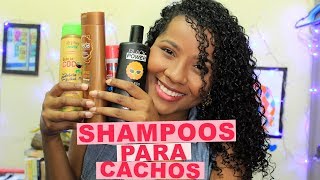 MELHORES SHAMPOOS PARA CABELOS CRESPOS E CACHEADOS 3C4A [upl. by Regina11]