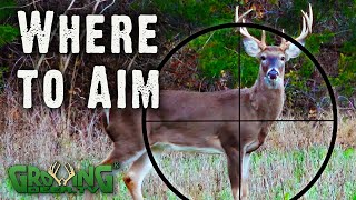 Where to Aim A Guide for Deer Hunters from Real Hunts 564 [upl. by Name]