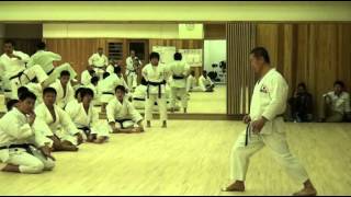 Kagawa Shihan explains the correct way of lifting the knee when doing yoko geri keage [upl. by Elohcan]