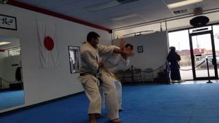 Functional Karate Heian Nidan two person drill [upl. by Bainbrudge29]