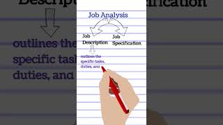 Job Analysis and its Components Job Description Vs Job Specification Human Resource ManagementHRM [upl. by Nawj]