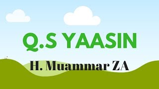 Murottal Muammar ZA  QS Yasin [upl. by Epifano160]