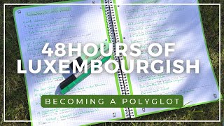 Learning a language in 48h Studying Luxembourgish from FRENG  PART 1  Becoming a Polyglot [upl. by Faxan114]