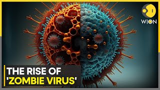 Scientists sound alarm for potential outbreak of Zombie Virus  WION [upl. by Fogel636]