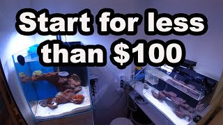 Cheap Marine Tank Setup  Convert your Freshwater Tank to Salt [upl. by Irvin421]