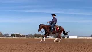 Jerónimo Leal Lobo riding Xtra kiss me again 2yo stud [upl. by Meelak]