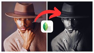 Cómo Crear Un Efecto de Retrato de Tonos Oscuros en Snapseed  Ios Y Android [upl. by Stulin]