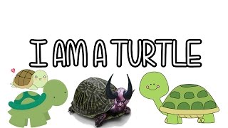 Hearthstone I AM A TURTLE Stream Highlight [upl. by Mayram]