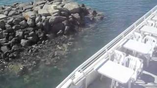 Young girl parking big boat Maui Princess in Lahaina Harbor [upl. by Archibaldo]