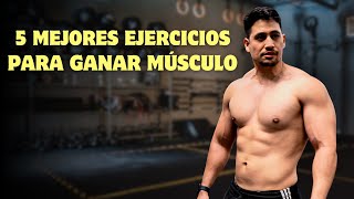 Cómo MAXIMIZAR tus GANANCIAS MUSCULARES con los MEJORES EJERCICIOS [upl. by Aiehtela]