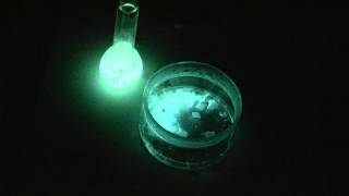 Luminol chemiluminescence [upl. by Notseh]