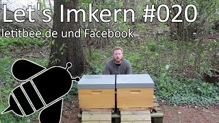 Lets Imkern  020  letitbeede und Facebook [upl. by Burk]