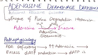 Adenosine deaminase deficiency biochemistry usmle mbbs [upl. by Alyahsat]