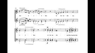 Ave Maria F Biebl Score Animation [upl. by Jenni]