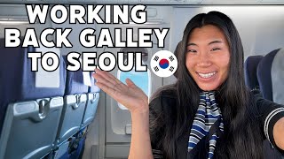 WORKING BACK GALLEY TO SEOUL  international flight attendant life [upl. by Lusty102]