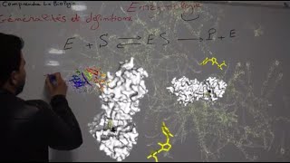 Séance 2  Structures des enzymes [upl. by Timoteo]