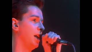 Depeche Mode  1981 Tour The Last Concert with Vince Clarke [upl. by Welsh]