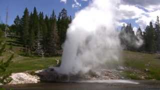 Compilation of geyser eruptions in Yellowstone NP Wyoming USA [upl. by Anined]