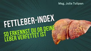 Fettleber erkennen mit dem Fettleber Index [upl. by Him]