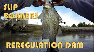 Fishing SlipBobbers at the Reregulation Dam [upl. by Carey]