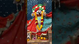 Nilachal Vedic Village jagannath balaram and subhadra maiya sudarshan kijay [upl. by Decato]