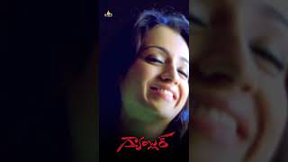 Trisha with Ajith  Gambler  shorts  youtubeshorts  SriBalajiVideo [upl. by Plumbo]